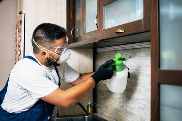 Best Best Pest Control Companies  in Raubsville, PA