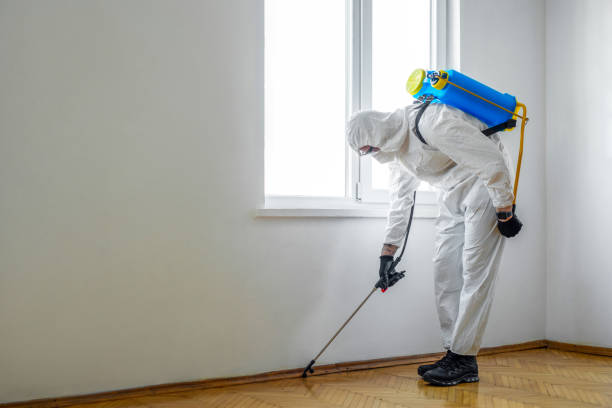 Best Affordable Pest Control Services  in Raubsville, PA