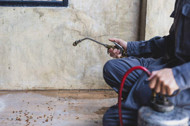 Best Affordable Pest Control Services  in Raubsville, PA